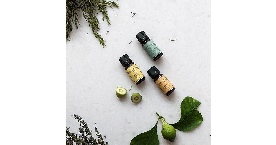 TOLO aroma aroma oil